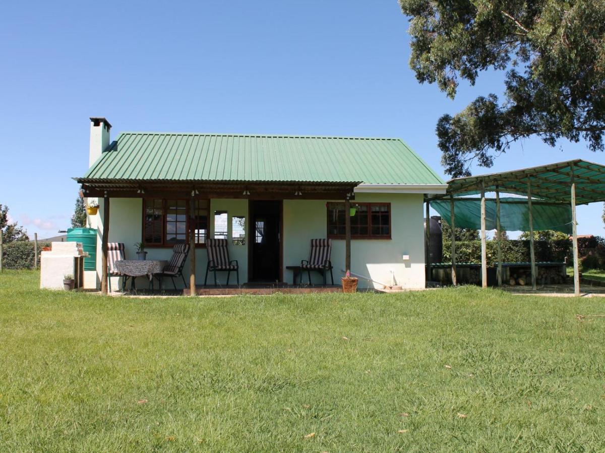 Cicada Self Catering Cottage أندربرغ المظهر الخارجي الصورة