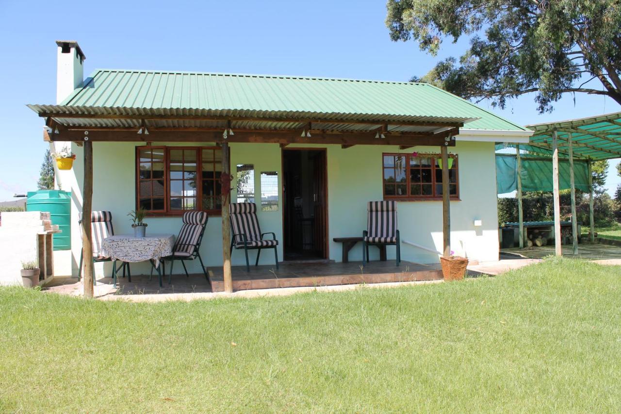 Cicada Self Catering Cottage أندربرغ المظهر الخارجي الصورة